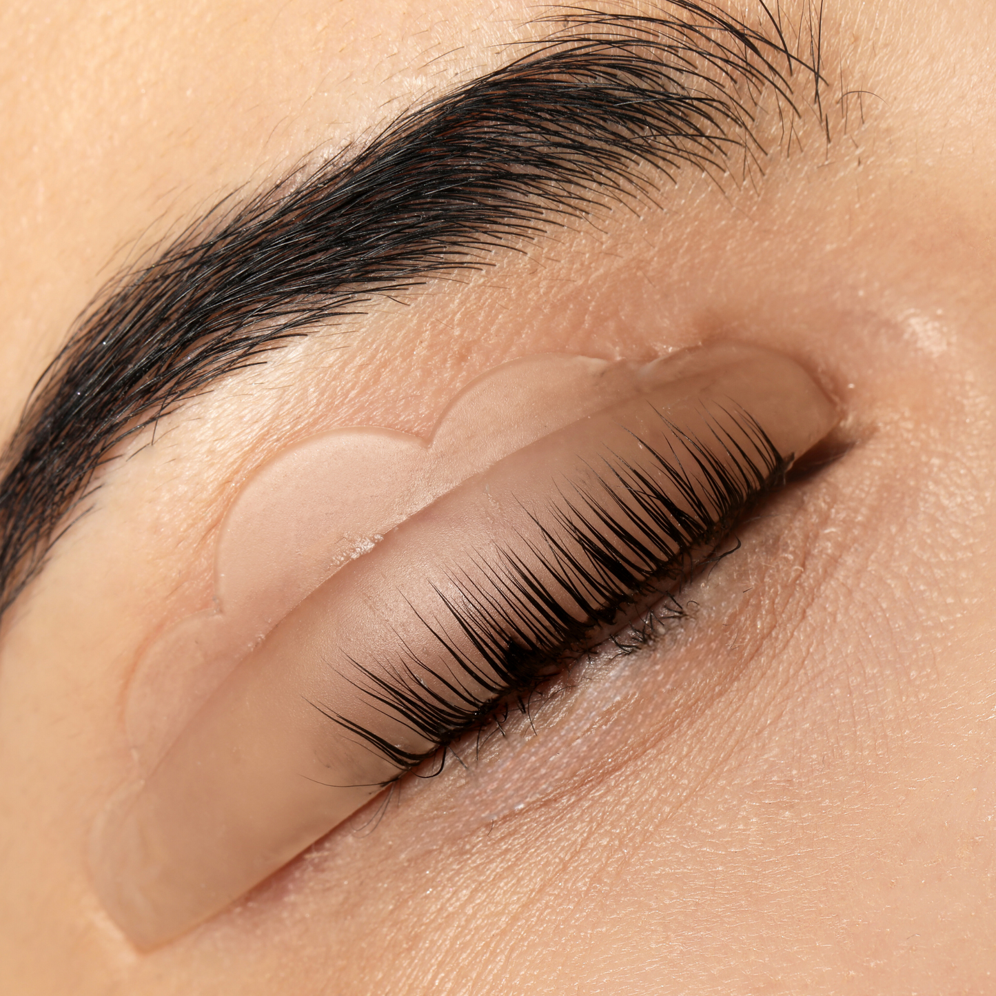 LASH LIFT & TINT