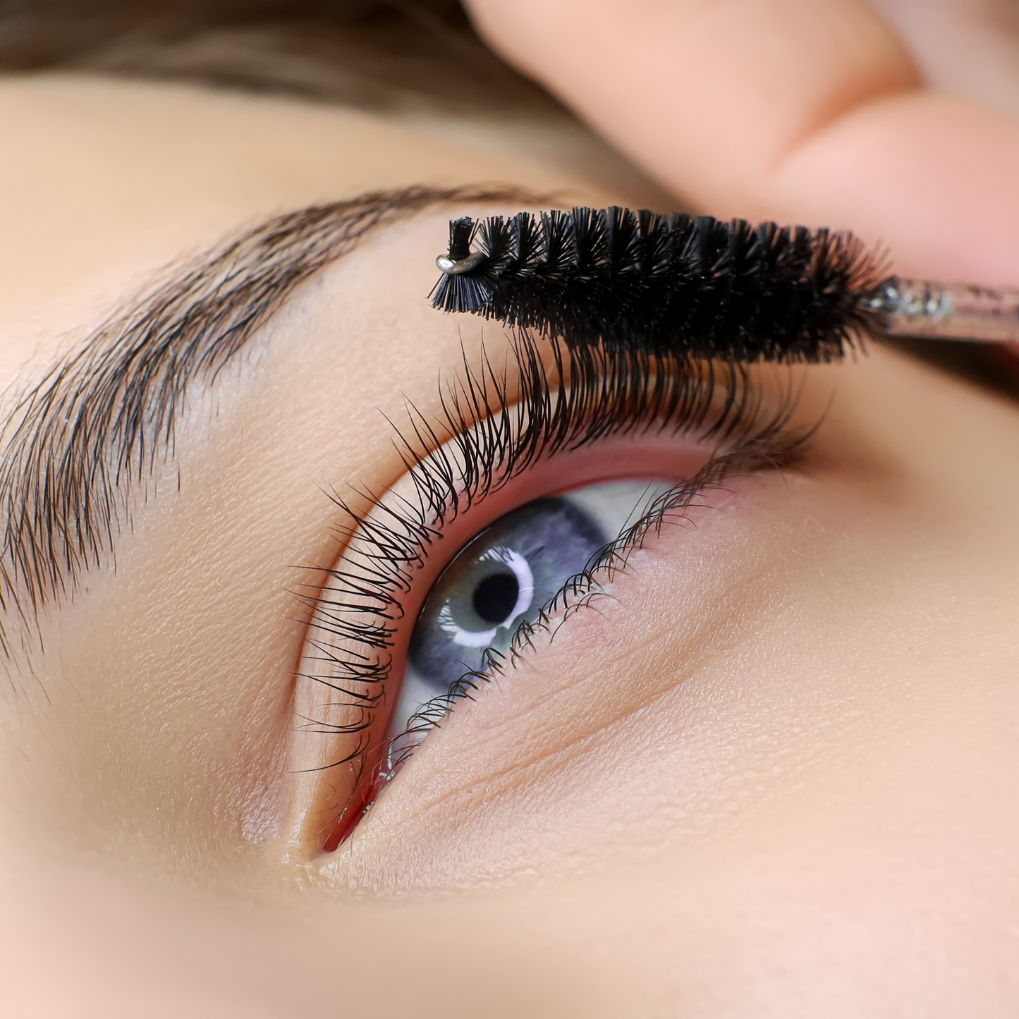 LASH LIFT & TINT