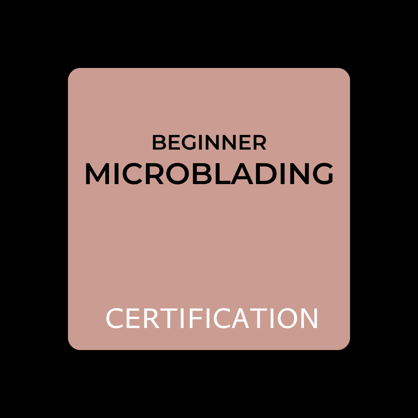LEARN MICROBLADING